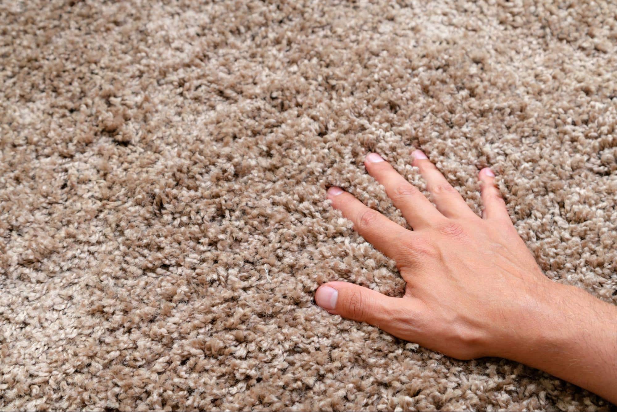 Is Carpet the Best Choice for My Home?